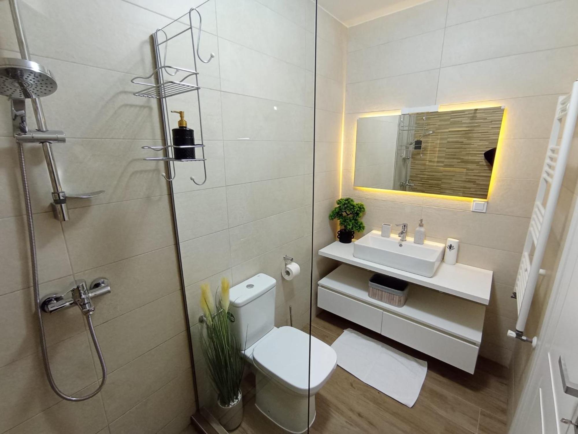 Penthouse City View Infinity Брашов Екстер'єр фото